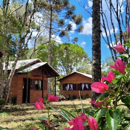 Cabanas Dos Pinheiros Sao Francisco de Paula  Bagian luar foto