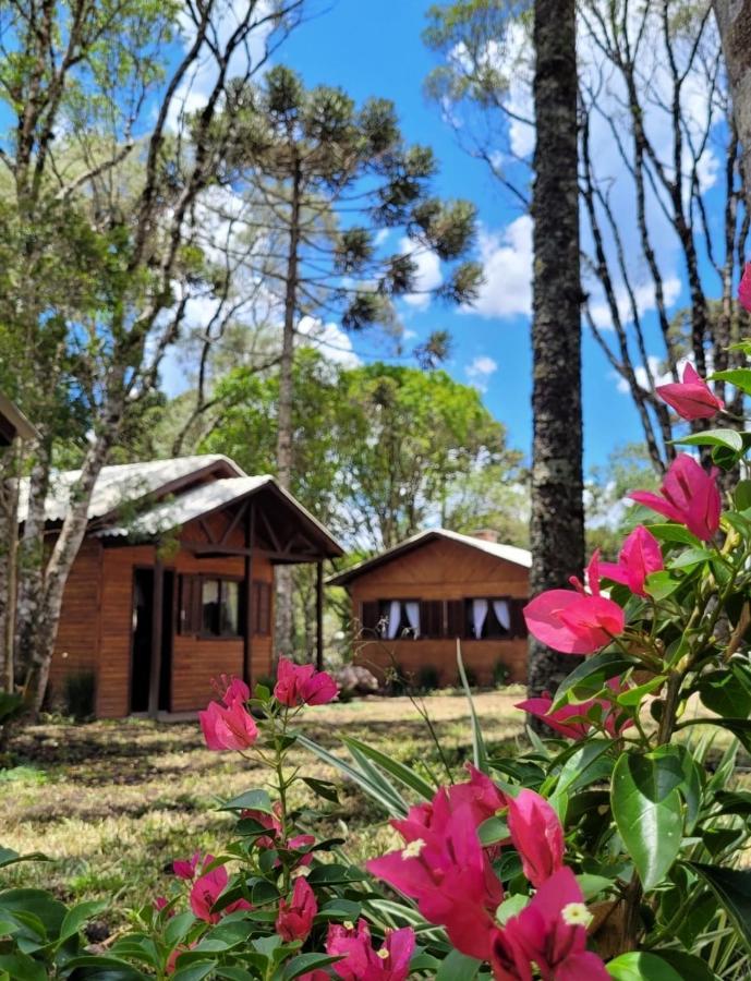Cabanas Dos Pinheiros Sao Francisco de Paula  Bagian luar foto