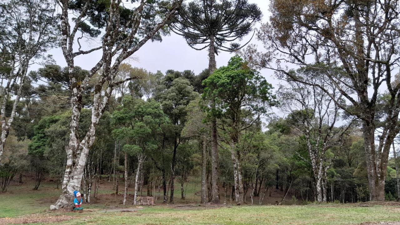 Cabanas Dos Pinheiros Sao Francisco de Paula  Bagian luar foto