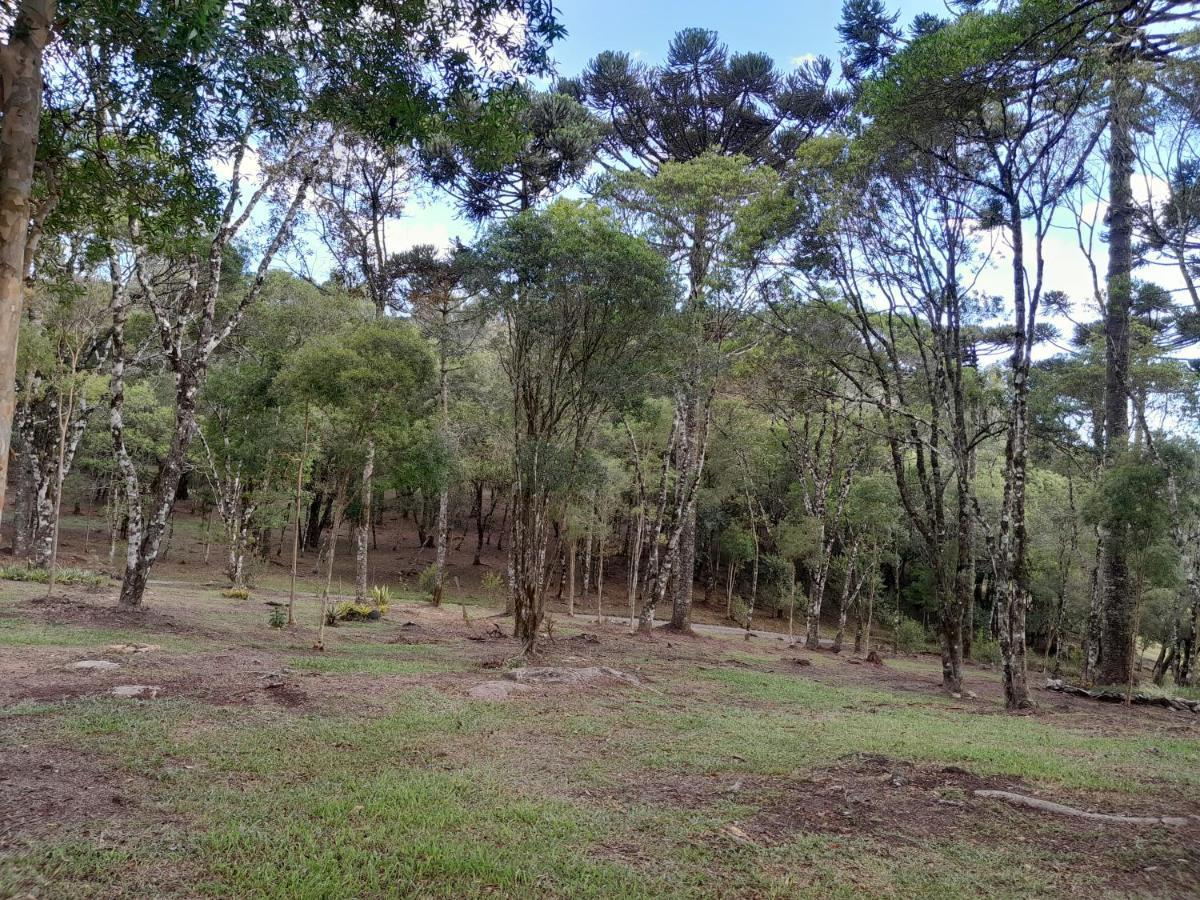 Cabanas Dos Pinheiros Sao Francisco de Paula  Bagian luar foto