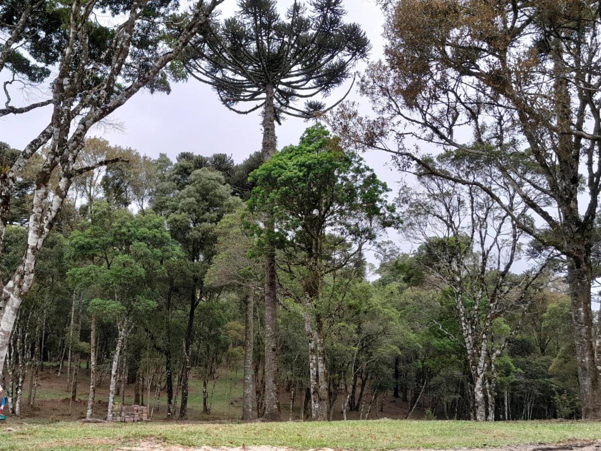 Cabanas Dos Pinheiros Sao Francisco de Paula  Bagian luar foto