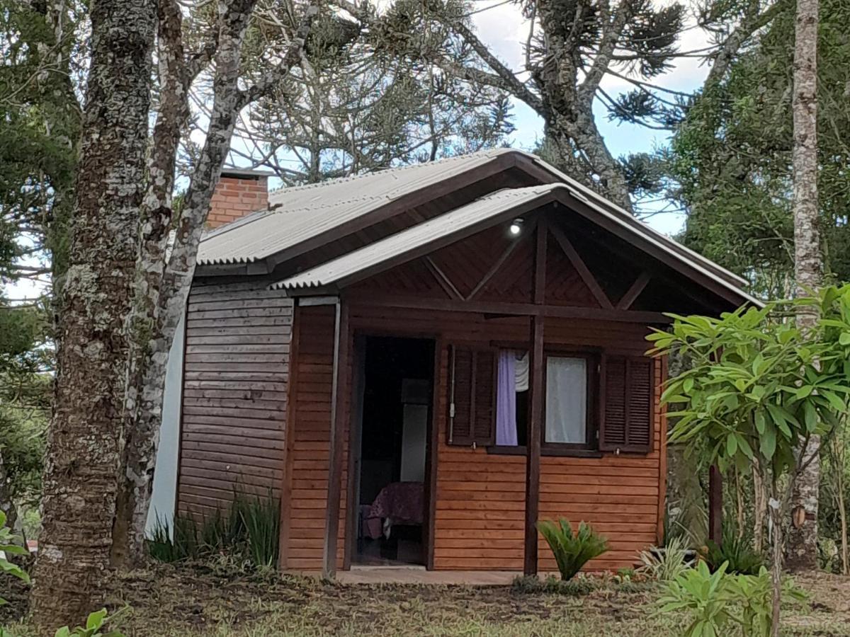 Cabanas Dos Pinheiros Sao Francisco de Paula  Bagian luar foto