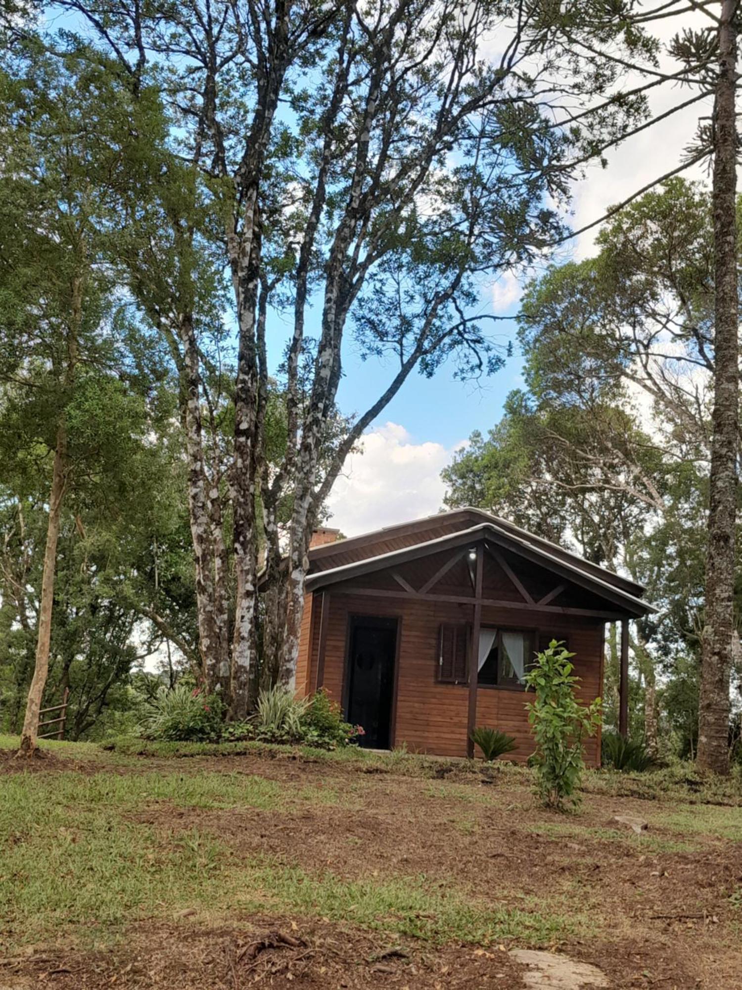 Cabanas Dos Pinheiros Sao Francisco de Paula  Ruang foto