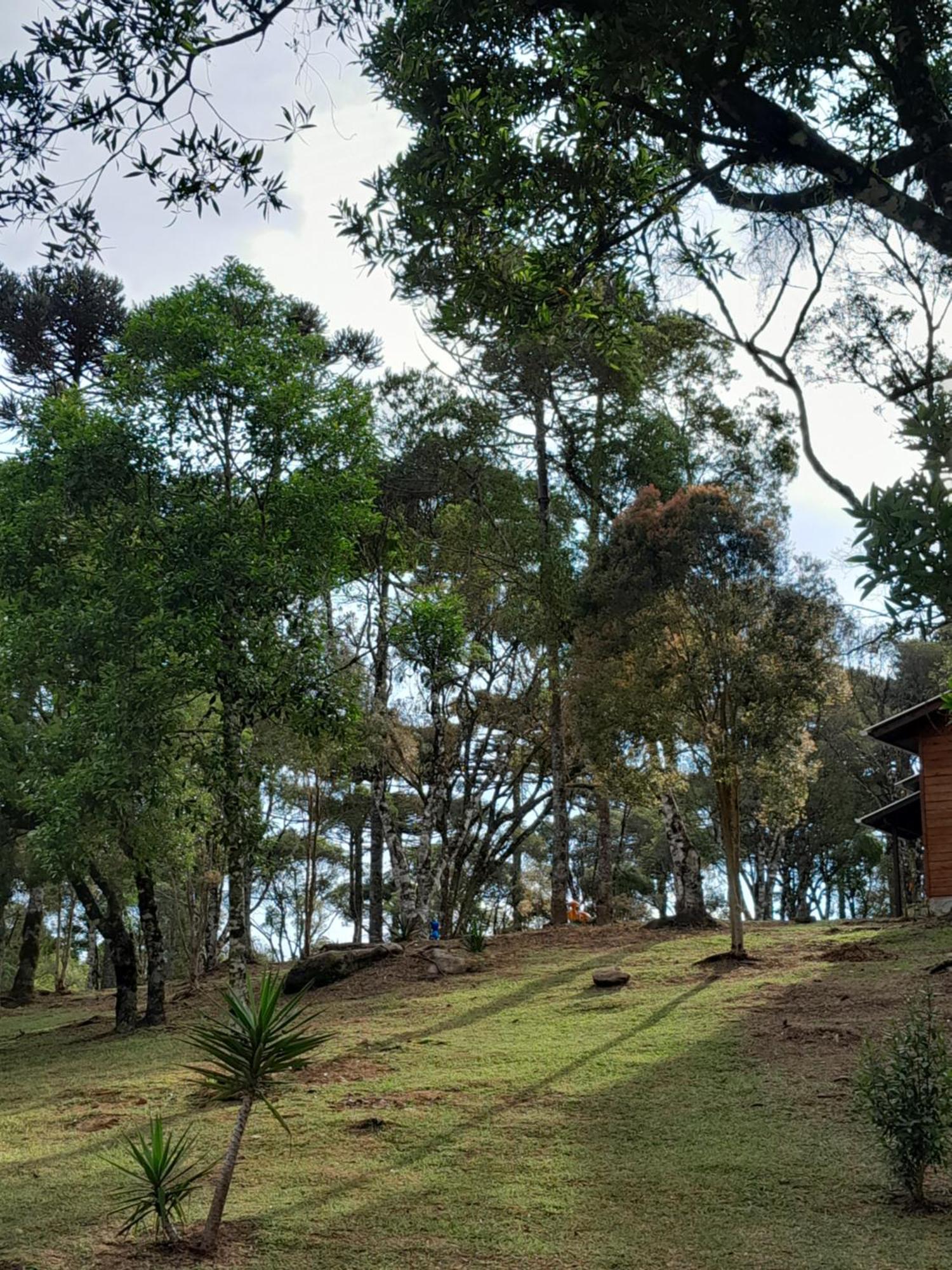 Cabanas Dos Pinheiros Sao Francisco de Paula  Ruang foto