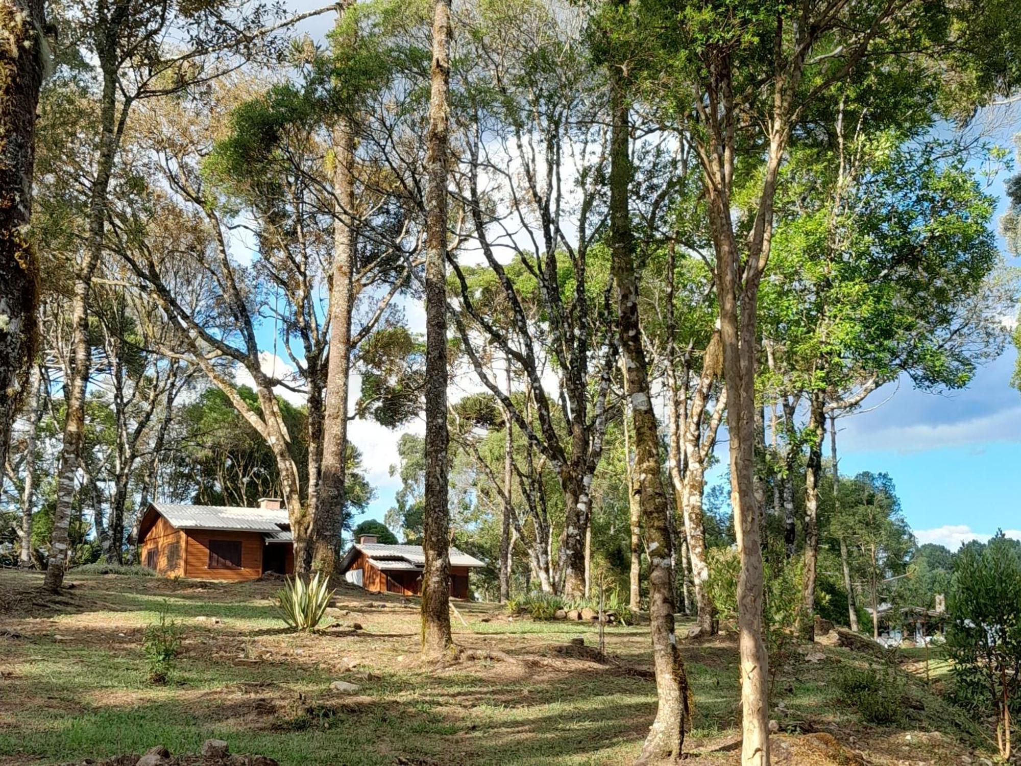 Cabanas Dos Pinheiros Sao Francisco de Paula  Ruang foto