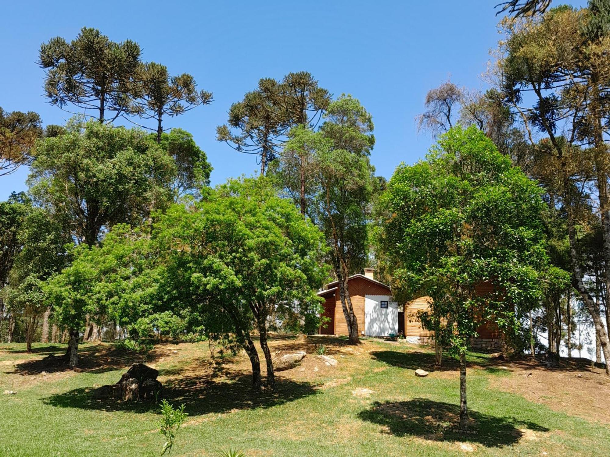 Cabanas Dos Pinheiros Sao Francisco de Paula  Ruang foto