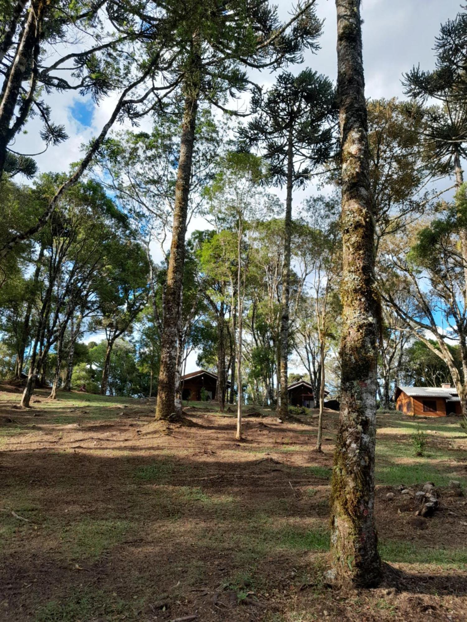 Cabanas Dos Pinheiros Sao Francisco de Paula  Ruang foto