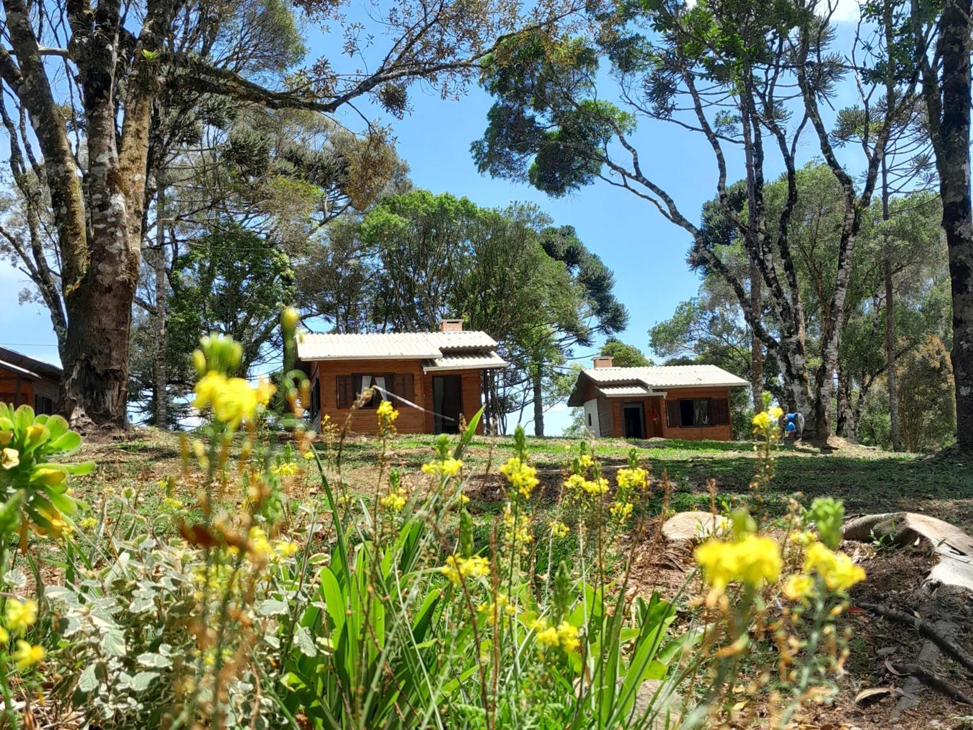 Cabanas Dos Pinheiros Sao Francisco de Paula  Ruang foto