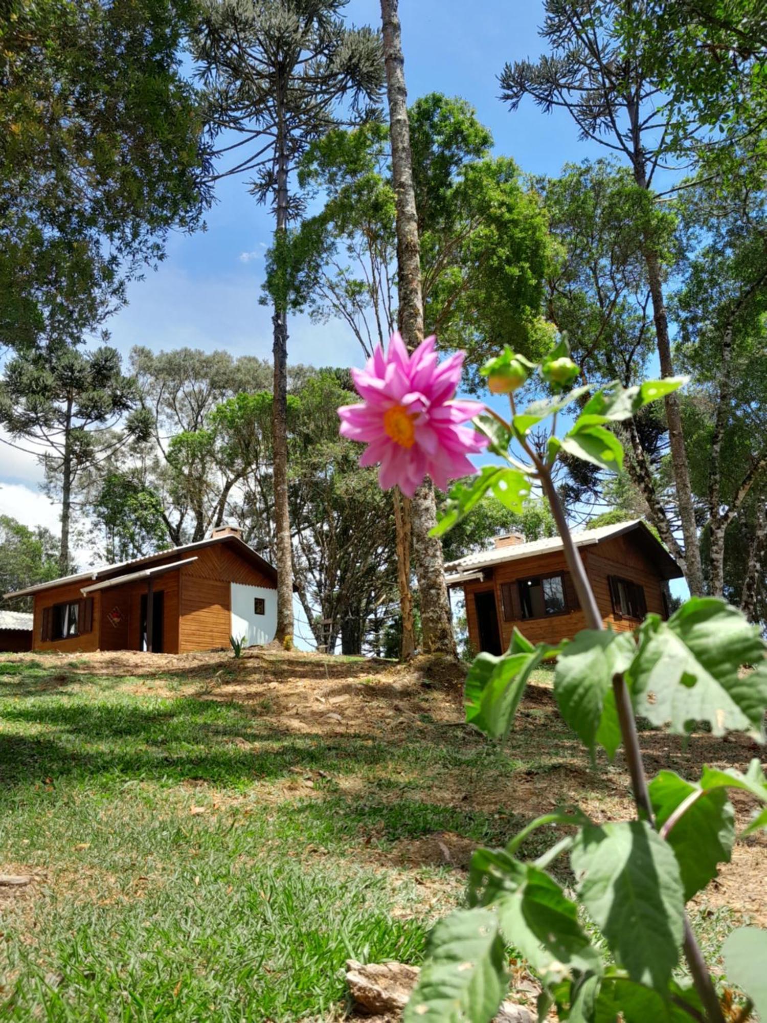 Cabanas Dos Pinheiros Sao Francisco de Paula  Ruang foto